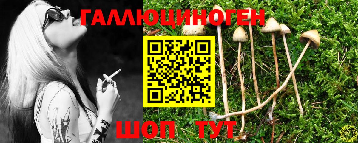 Курганинск  как найти закладки  Вход с VPN  Псилоцибиновые грибы Magic Shrooms 